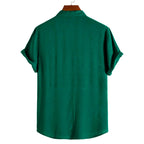 Camisa Masculina Lisa Gola Padre Raphaelos Essentials - imagem 14