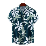 Camisa Manga Curta Raphaelos Culebra