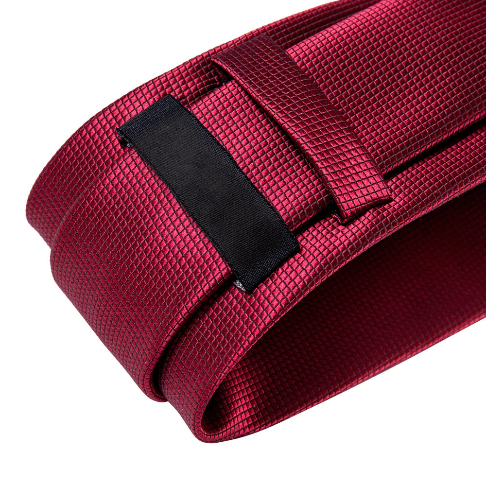 Gravata Raphaelos Fortuna - vista traseira