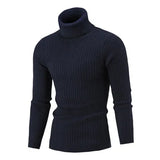 Suéter Masculino Pullover de Gola Alta Raphaelos S177