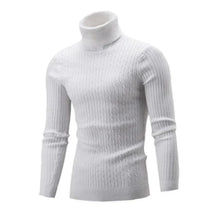 Suéter Masculino Pullover de Gola Alta Raphaelos S177