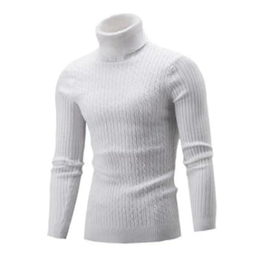 Suéter Masculino Pullover de Gola Alta Raphaelos S177