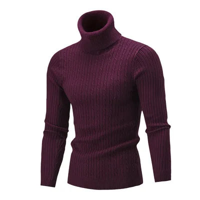 Suéter Masculino Pullover de Gola Alta Raphaelos S177